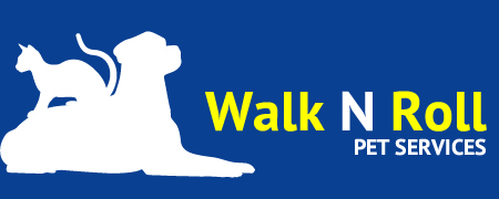 Richmond Dog Walking Services